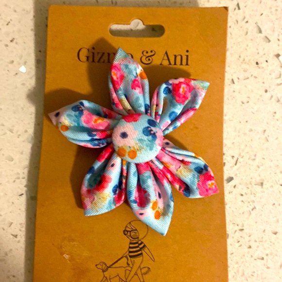 Gizmo & ani - Picture 1 of 1